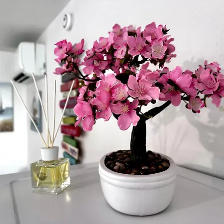 Marina House Линьяно-Саббьядоро