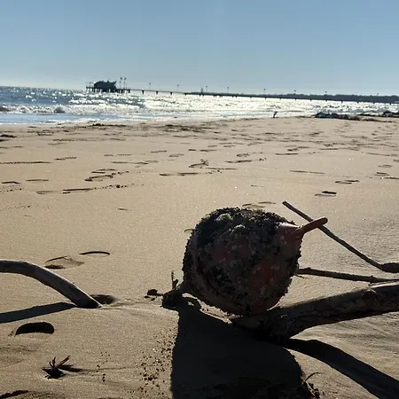 Marina House * Λινιάνο Σαμπιαντόρο