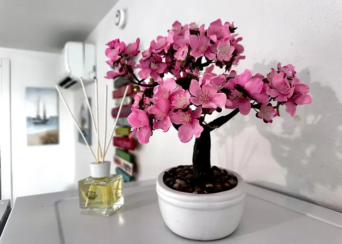 Marina House Λινιάνο Σαμπιαντόρο