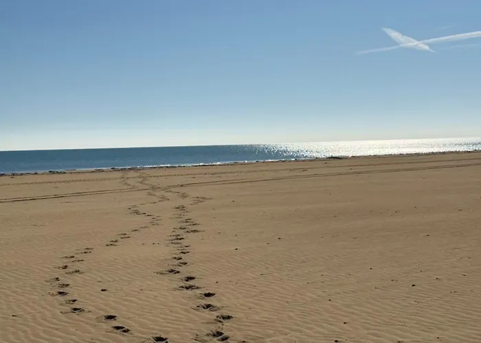 Marina House Σπίτι διακοπών Λινιάνο Σαμπιαντόρο