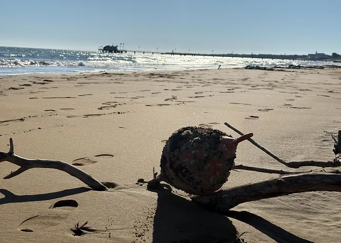 Marina House * Λινιάνο Σαμπιαντόρο